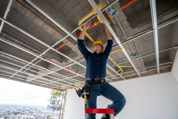 Best Best Plumbers Near Me  in Oconto Falls, WI